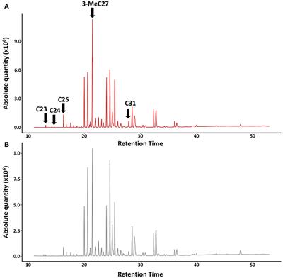 Do Primitively Eusocial Wasps Use Queen Pheromones to Regulate Reproduction? A Case Study of the Paper Wasp Polistes satan